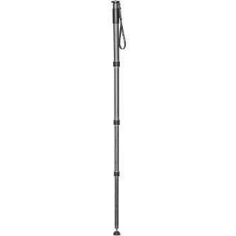 Monopodi - Gitzo GM4542 Series 4 Carbon Monopod, 4 Section, 50mm Foot - быстрый заказ от производителя