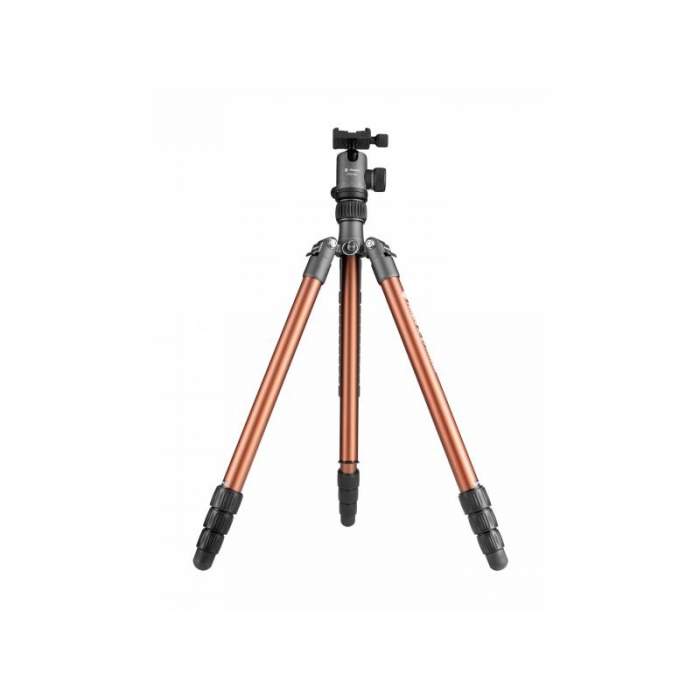 Photo Tripods - Fotopro Tripod X-go Chameleon with FPH-52Q ball head - gray-brown - quick order from manufacturer