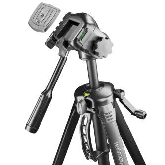 Mobile Phones Tripods - Walimex pro WT-3570 Basic-Tripod 168cm black - buy today in store and with delivery