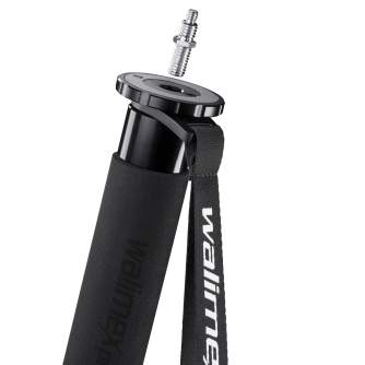 Monopods - Walimex pro Video-Einbein-Stativ Director Carbon - quick order from manufacturer