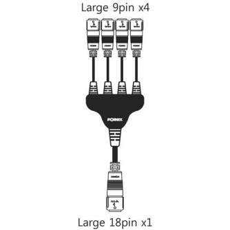 Light Panels - Fomex RollLite RL66 Kit - quick order from manufacturer