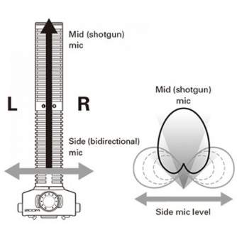 Shotgun Microphone - Zoom SSH-6 Stereo Shotgun Microphone Capsule for H5, H6, Q8, F4, F8, U-44 - quick order from manufacturer