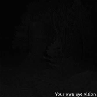 Night Vision - Luna Optics LN-G3-B50 Night Vision Binocular with Rangefinder 6-36x50 Gen-3 - quick order from manufacturer