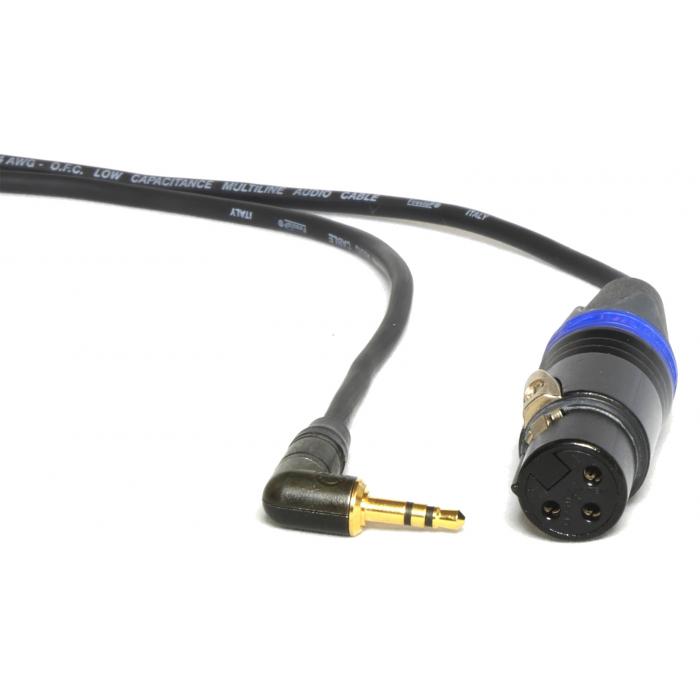 Accessories for microphones - PEPPERCABLE CAY1 - XLR - MINI JACK - buy today in store and with delivery