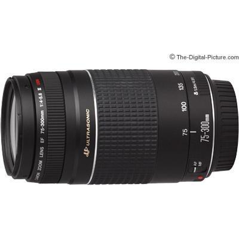 Buy Today Canon Lens Ef 75 300mm F4 5 6 Dc Iii Lenses