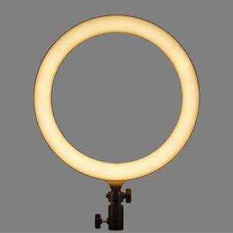 Ring Light - Godox LR120 LED dimmable bi-color ring light - 30cm / 3000K-6000K / RGB / 0-100 - quick order from manufacturer