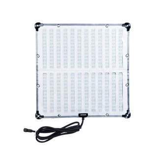 Light Panels - Amaran F22x EU LED Flexible Lights 60x60cm 240W Bi-Color w softbox & grid - quick order from manufacturer