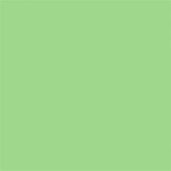 Backgrounds - Superior Background Paper 63 Apple 2.72 ( 73 Summer Green) x 11m - quick order from manufacturer