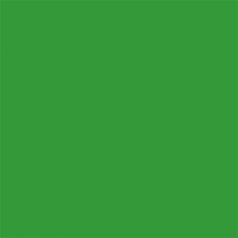 Foto foni - Superior Background Paper 54 chromagreen Stinger green Chroma Key 2.72 x 25m - perc šodien veikalā un ar piegādi