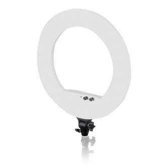 Ring Light - Caruba Round Vlogger 18 inch LED Set Economy with Bag - White - quick order from manufacturer