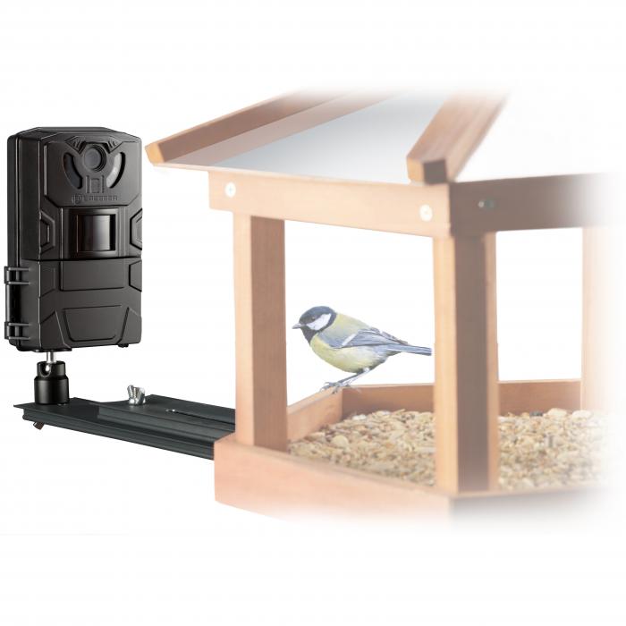 Time Lapse Cameras - Bresser Bird/Small Animal-Camera SFC-1 - quick order from manufacturer