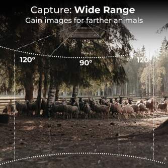 Time Lapse Cameras - K&F Concept 1296P 24MP Wildlife Camera dead wood KF35.064 - quick order from manufacturer