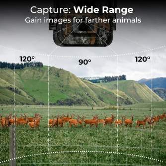 Time Lapse Cameras - K&F Concept 24MP*1296P night vision, 120 wide angle*0.2S trigger 2 screen hunting - quick order from manufacturer