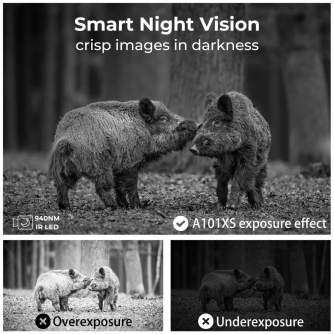 Time Lapse Cameras - K&F Concept 24MP*1296P night vision, 120 wide angle*0.2S trigger 2 screen hunting - quick order from manufacturer