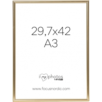 New products - FOCUS CAN-CAN SHINY GOLD 29,7X42 (A3) 114227 - quick order from manufacturer