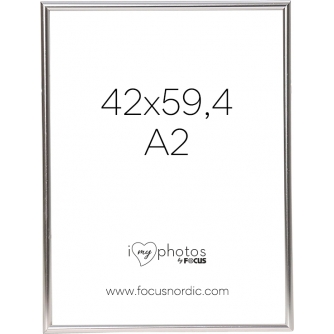 New products - FOCUS CAN-CAN SHINY SILVER 42X59,4 (A2) 114232 - quick order from manufacturer