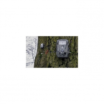 Medību kameras - Redleaf RL1495 Trail Camera RD1000 with 5MPx Sensor - ātri pasūtīt no ražotāja