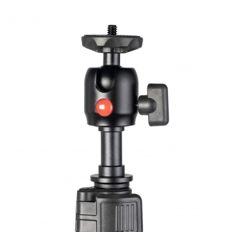 Light Stands - SmallRig RA-S200 Light Stand 4379 56-200cm 4kg 1/4 Threaded - quick order from manufacturer