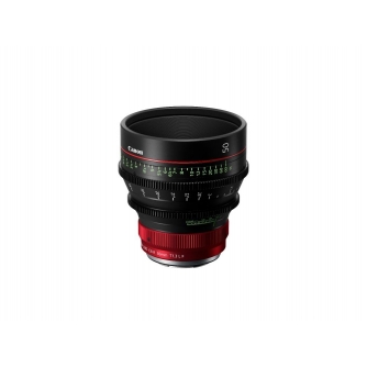 CINEMA Video Lenses - Canon CN-R50MM T1.3 L F (6402C006) - quick order from manufacturer