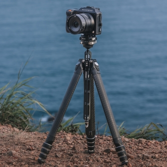 Штативы для фотоаппаратов - Falcam TreeRoot Quick Lock Travel Tripod T00A4301 - быстрый заказ от производителя