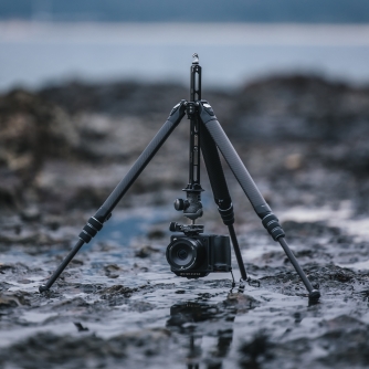 Foto statīvi - Falcam TreeRoot Quick Lock Travel Tripod ( without head ) TOOA4302 - ātri pasūtīt no ražotāja