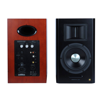 Студийные мониторы - Speakers 2.0 Edifier Airpulse A300 (cherry) A300 cherry - быстрый заказ от производителя