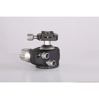 Tripod Heads - Leofoto Leophoto head LH-55+QP-70N - quick order from manufacturer