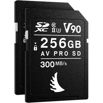 New products - ANGELBIRD SD (MATCH PACK SONY ALPHA 7 ALPHA 9) (V90) 256GB 2 PACK MP-A7A9-256SDV90X2 - quick order from manufacturer