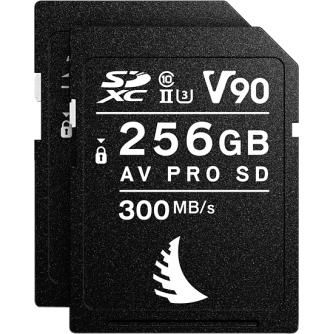 New products - ANGELBIRD SD (MATCH PACK SONY ALPHA 7 ALPHA 9) (V90) 256GB 2 PACK MP-A7A9-256SDV90X2 - quick order from manufacturer