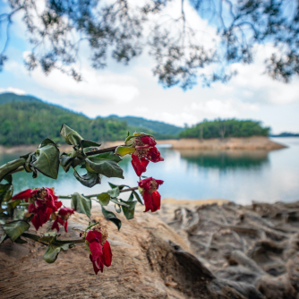 Sortimenta jaunumi - Laowa 10mm f/4 Cookie Silver Sony E VE1040SESIL - ātri pasūtīt no ražotāja