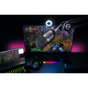 New products - Razer mikrofon Seiren Mini, valge RZ19-03450300-R3M1 - quick order from manufacturer