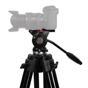 Video statīvi - Nest Video Tripod NT-777 + Fluid Damped Pan Head - быстрый заказ от производителя