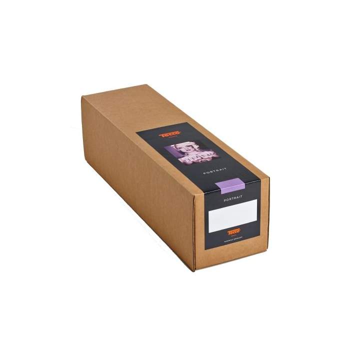Photo paper for printing - Tecco Inkjet Paper Premium Silk Raster PSR290 43,2 cm x 25 m - quick order from manufacturer