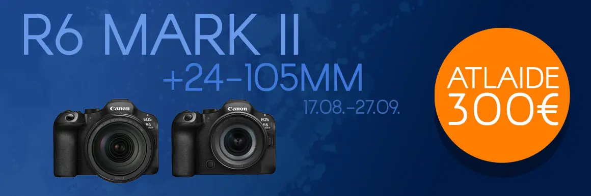 Canon R6III+24-105